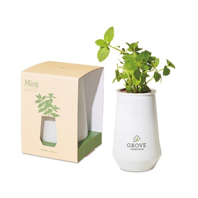 Modern Sprout Tapered Tumbler Grow Kit - White-Mint