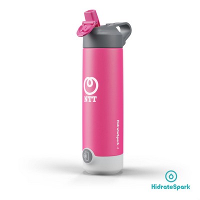 HidrateSpark® Tap Straw Steel Water Bottle - 20oz Fruit Punch