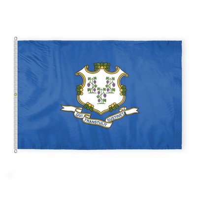 Connecticut Flags 8x12 foot