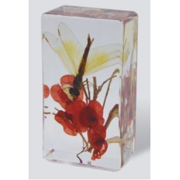 Lucite Piece with Real Dragonfly, 1 5/8 x 2 7/8 x 1"