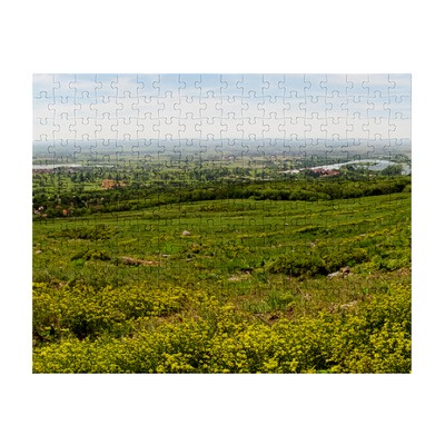 252 Piece Jigsaw Photo Puzzle