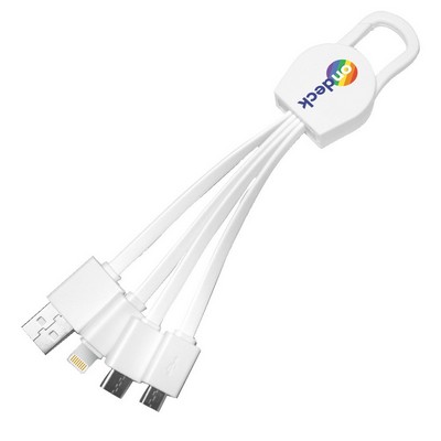 Leyden 4 in1 Charging Cables w/ USB tip