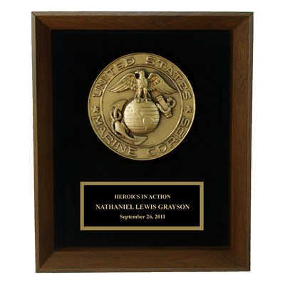 8 x 10 Marine Seal Shadow Frame Award