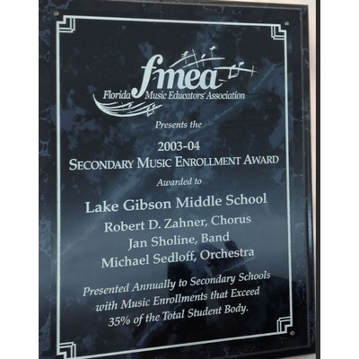 Economy Solid Black Plaque (7"x9")