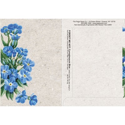 Watercolor Series Forget Me Not Seed Packet