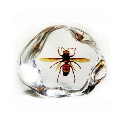 Lucite Paperweights with Real Wasp, 2.91"X2.48"X 0.98"