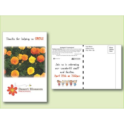 Marigold Flower Seed Packet - Postcard Mailer Size (4" x 6.5")