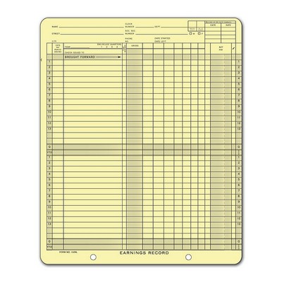 One-Write® Earnings Record Ledger Card