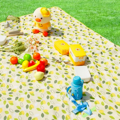 Outdoor Moisture-Proof Picnic Mat w/Logo