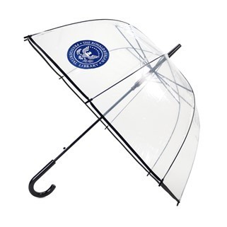 46'' Arc Bubble Umbrella With Hook Handle