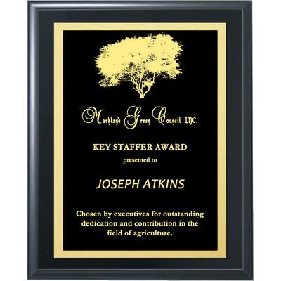 Solid Black Finish Lasered Plate Award Plaque 9"x12"