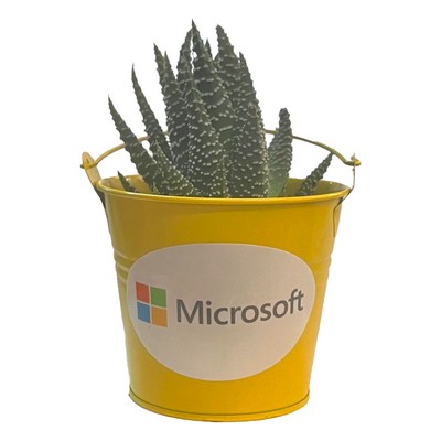 Succulent in Yellow Tin Pot