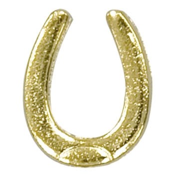 Horseshoe Cast Stock Jewelry Pin