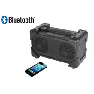 Vivitar BoomBox Bluetooth Wireless Speaker