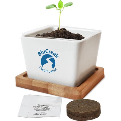 Ceramic Planter Kit