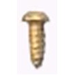 Slotted Screw