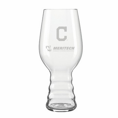 Spiegelau 19.1 oz IPA glass (set of 4)