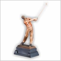 14" Best Male Golf Swing Award