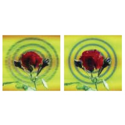 HD Lenticular Magnet (2" x 2")