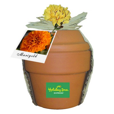 Deluxe Plant Kit w/Marigold Seeds