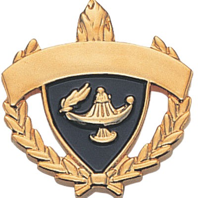 Plain Academic Award Pin for Engraving