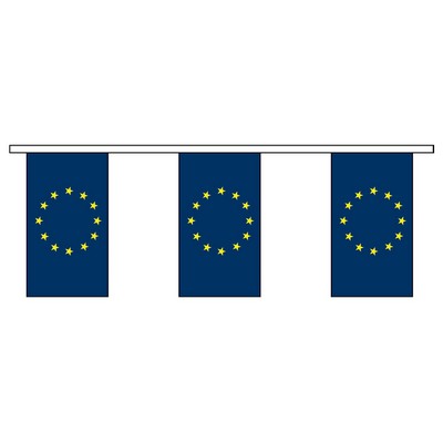 30' Council of Europe International Collection Display Flag