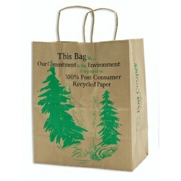 Natural Kraft Paper Shopping Bag (13"x7"x17")