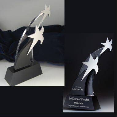 Unique Star Award (Sand Blasting)