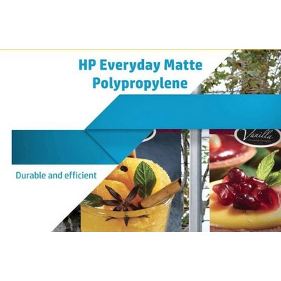 Matte Polypropylene Poster (16"x20")