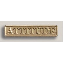 Stock Attitude Lapel Pin