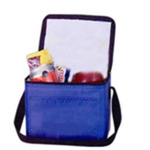 Lunch Cooler Bag