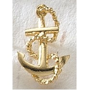 Series 3000S Anchor MasterCast Design Cast Lapel Pin