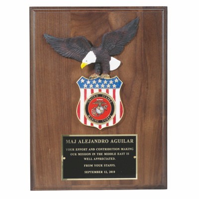 Eagle Plaque Walnut Finish Takes 2" Insert (9"x12")