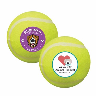 Tennis Ball Dog Toy