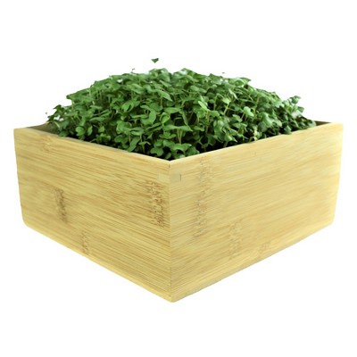 Microgreens Refill Kit