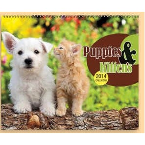 13 Month Stapled Wall Calendar (Puppies & Kittens)