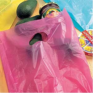 High Density Plastic Bag (12"x15")