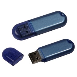 Translucent Oblong Flash Memory Drive V2.0