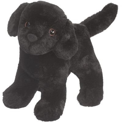 Abraham Black Lab