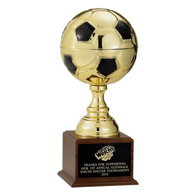 19½" High Metal Soccer Ball Trophy w/9" Diameter Ball