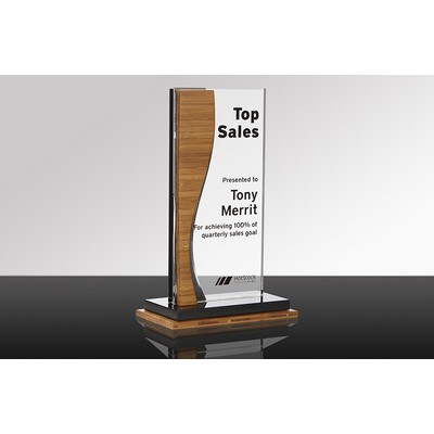 MODERN: Glass & Stone Desk Award (5" x 8½" x 2½")