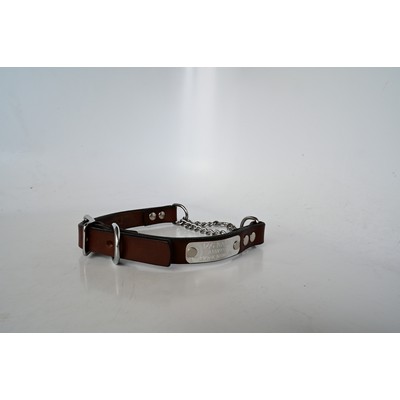 Martingale Dog Collar