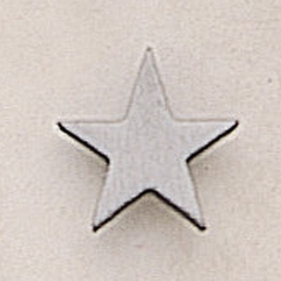 Flat Star Marken Design Cast Lapel Pin (1/2")