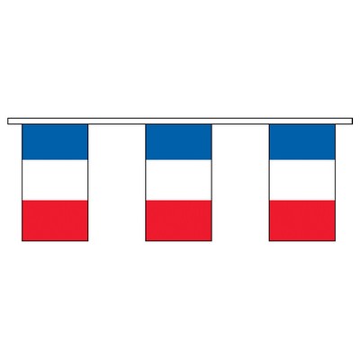 30' France International Collection Display Flag