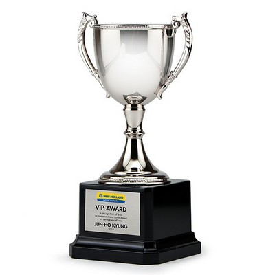 11" Tall Sliver Zinc Cup Trophy on Plastic Base