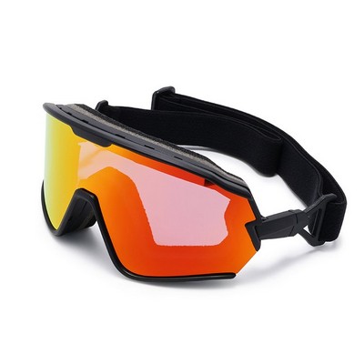 Ski Shop Quality Goggles