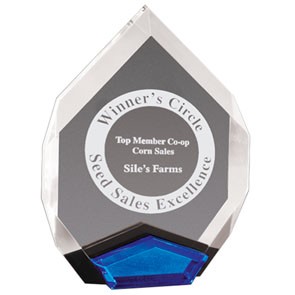 Marquis Acrylic Award