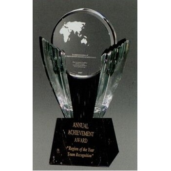 Custom Global Partner Award