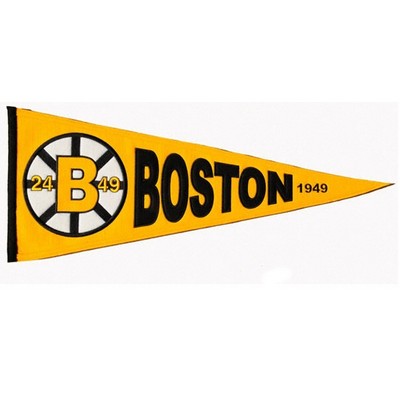 4.5" x 10" Pennant