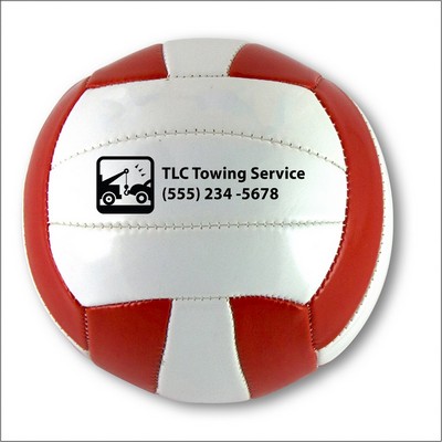 Volleyball Mini Size 1 - (Priority)